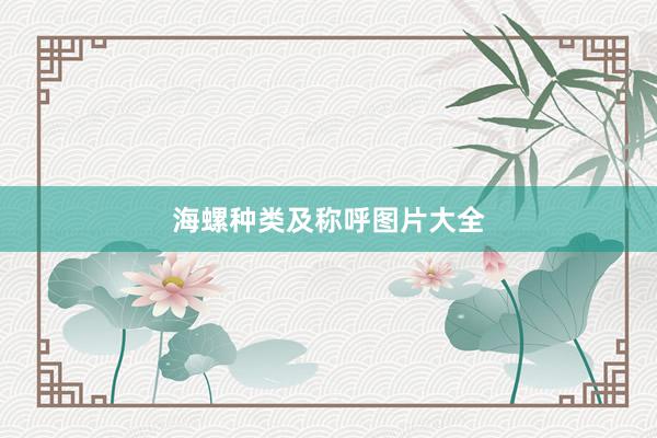 海螺种类及称呼图片大全